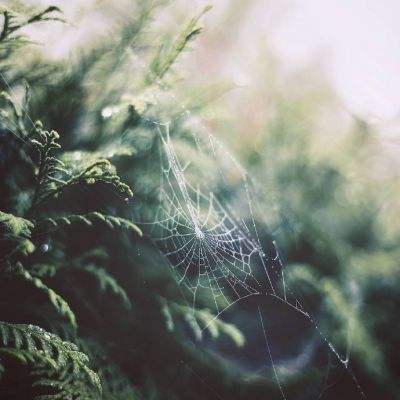 亚虎娱乐app下载下载手机版